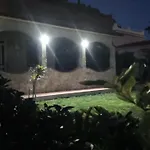 Cedro Sabbiadoro *