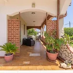 Cedro Sabbiadoro Vakantiehuis Avola