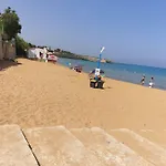 Cedro Sabbiadoro *