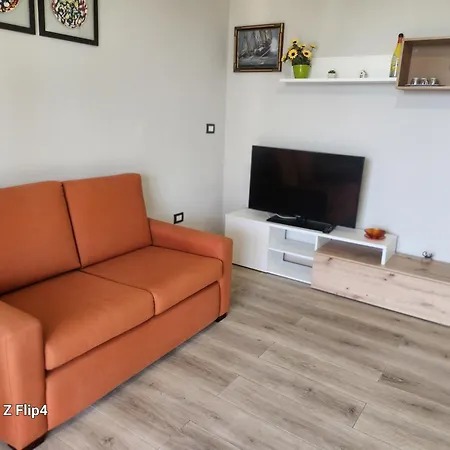 Cedro Sabbiadoro * 阿沃拉